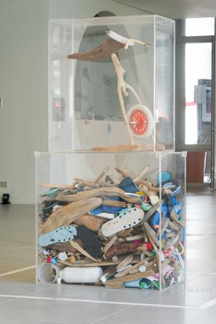 太平洋之美-遷徙遠征-1