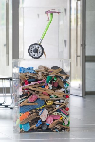 太平洋之美-遷徙遠征-2