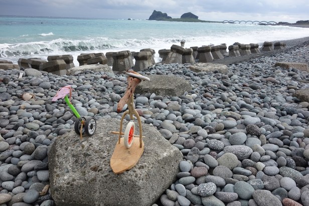 太平洋之美-遷徙遠征-三仙台