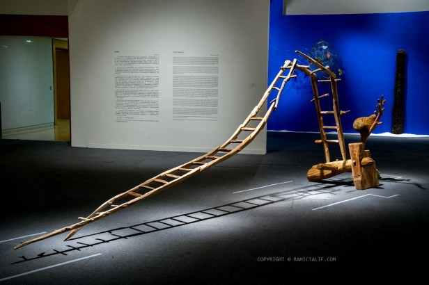 拉黑子-高美館個展-展覽現場(攝影 吳欣穎)_1